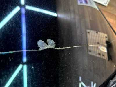 Установка лобового стекла Mercedes S-Class W222 2013-2020